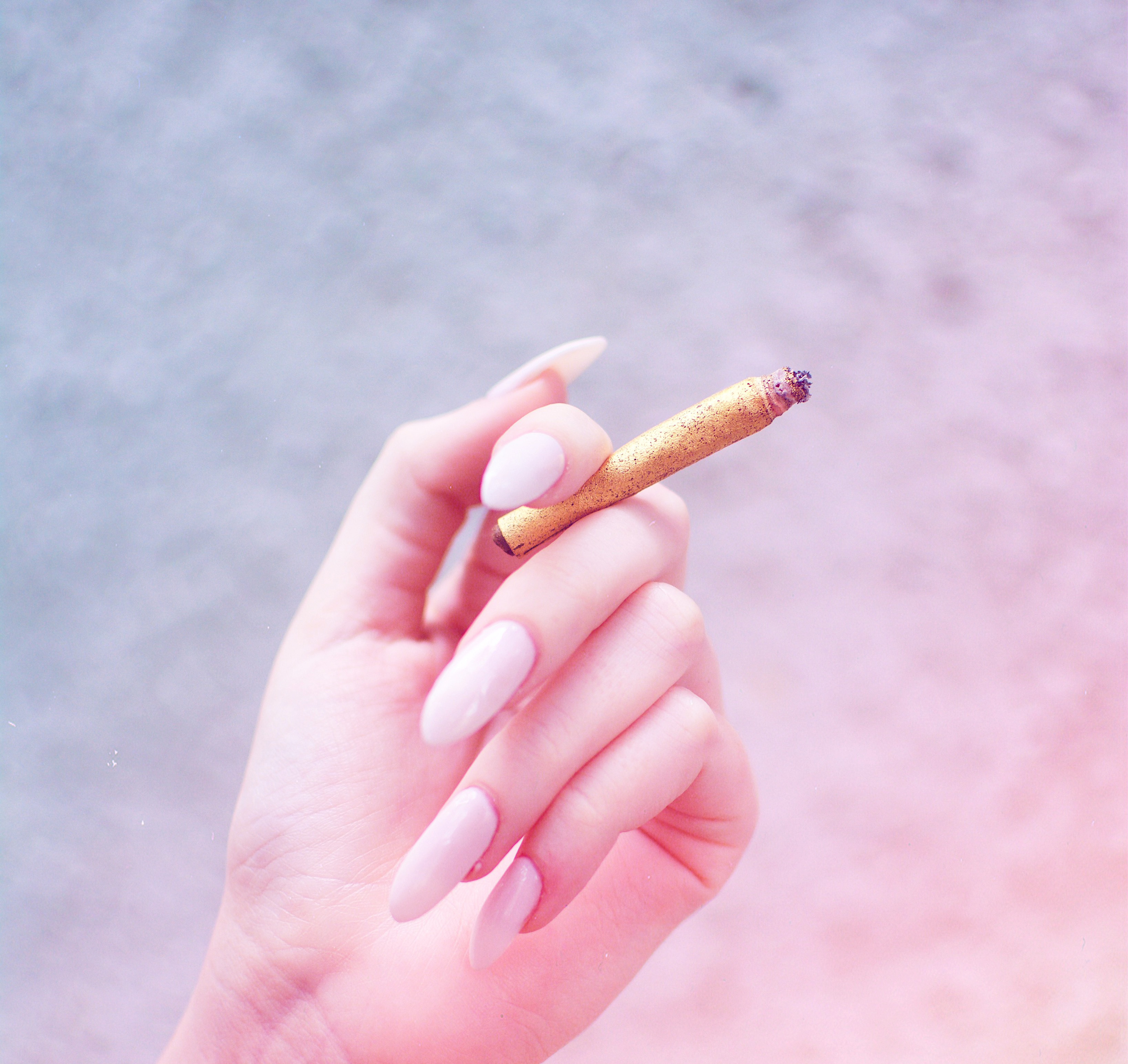 What is a Blunt? (Blunts vs Joints, How to Make a Blunt, and Everything Else You Need to Know)