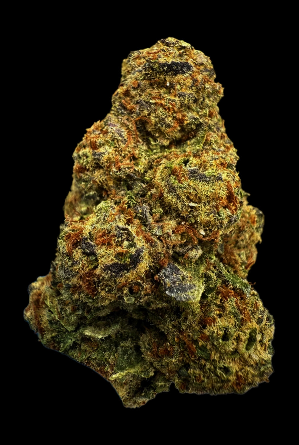 Stoner Cookies and Cream THCA Flower - Stoner Exotic