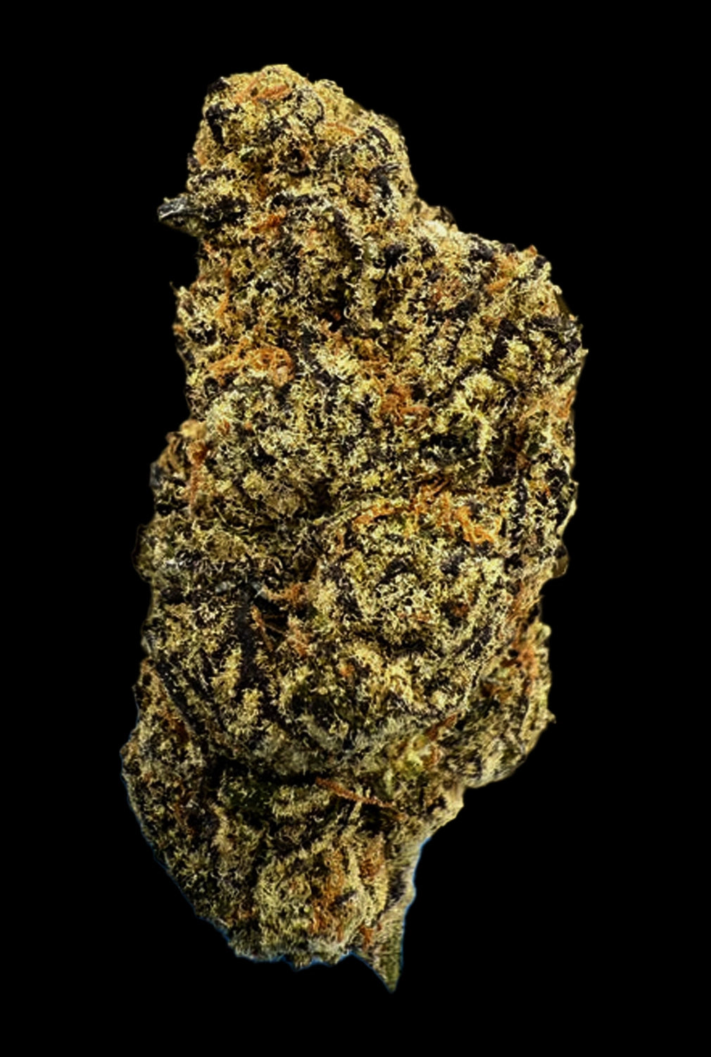 Stoner Cream Pop THCA Flower - Stoner Exotic