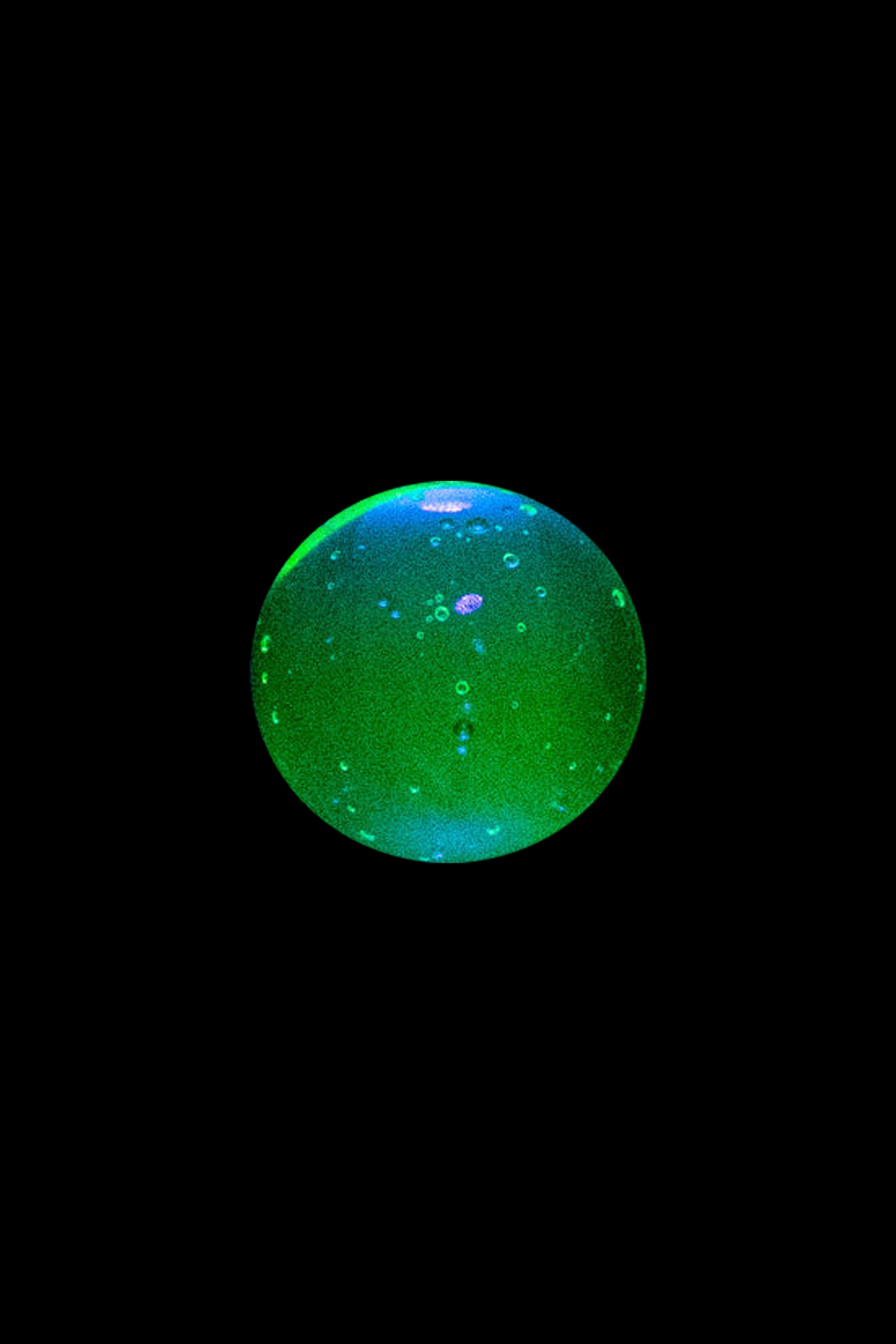Close-up of a bubbling cannabis concentrate oil slick with green and blue hues on a black background.
