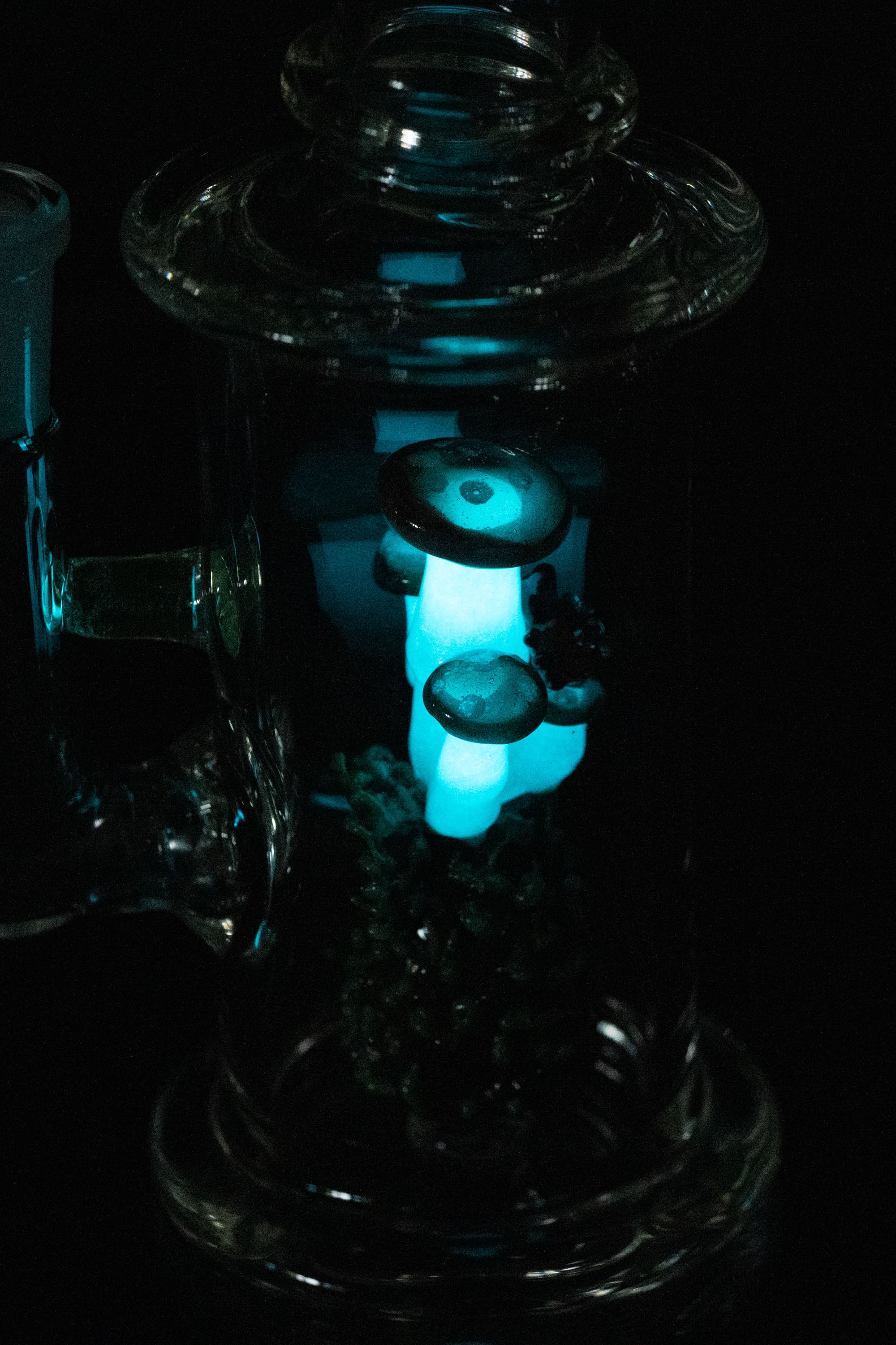 Blue glass cannabis water pipe, dramatically lit.