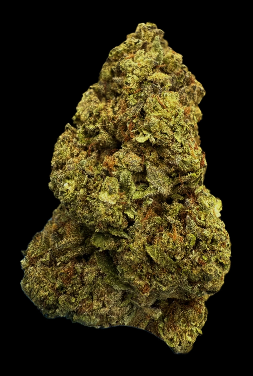 Stoner Grapes and Cream THCA Flower - Stoner Premium