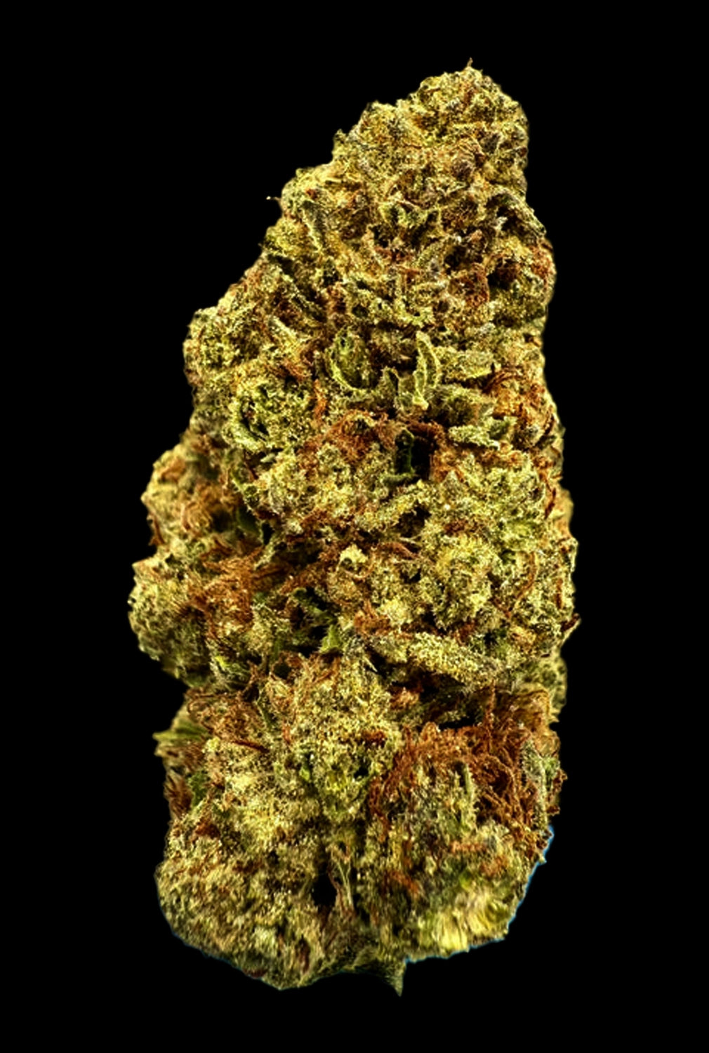 Stoner Hash Burger THCA Flower - Stoner Premium