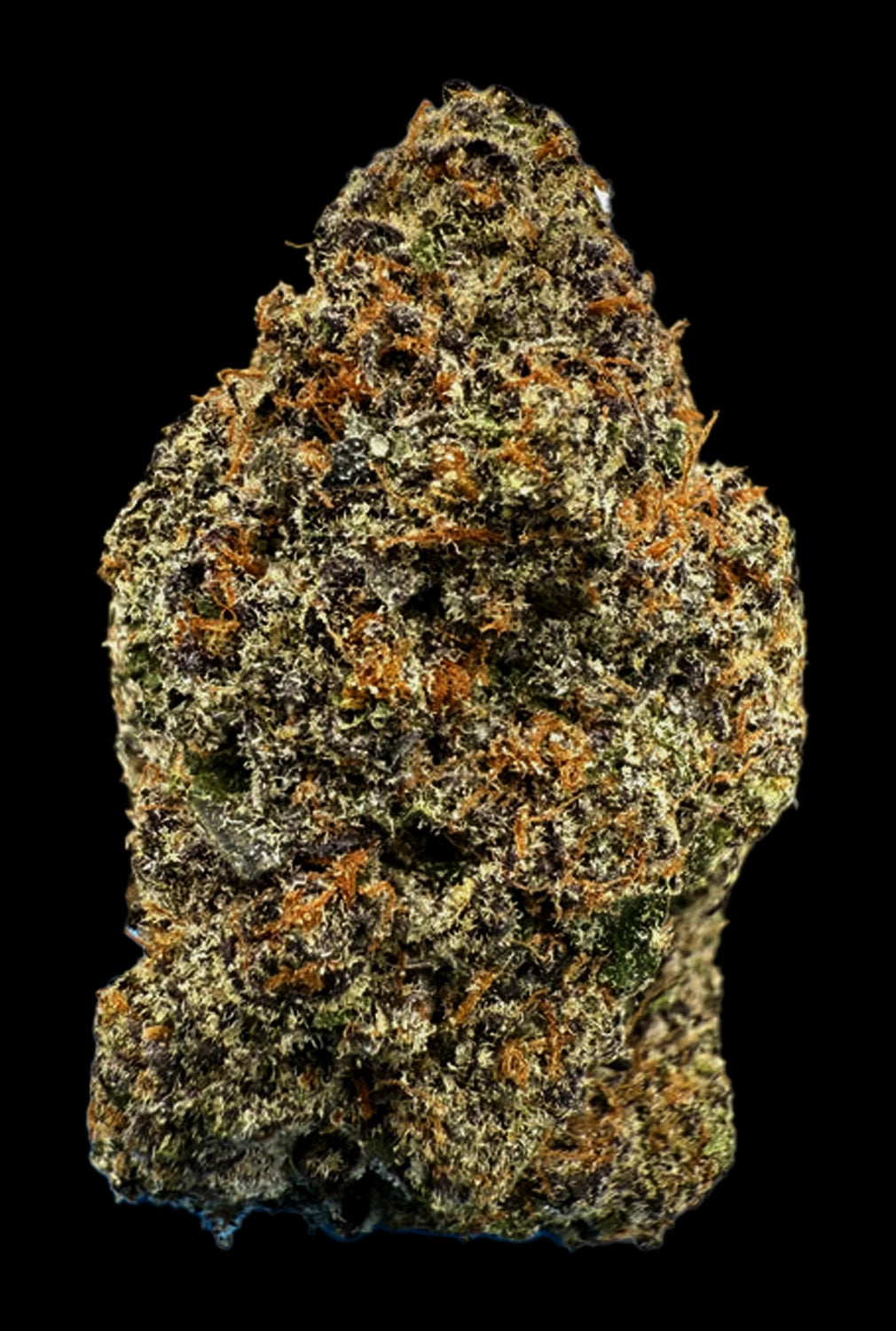 Stoner Insane Pound Cake THCA Flower - Stoner Exotic