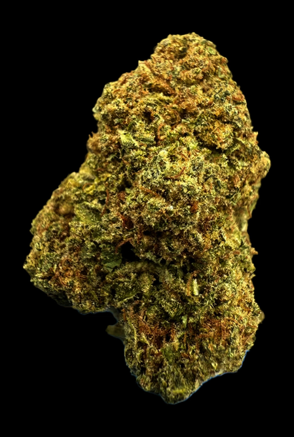 Stoner LA Kush Cake THCA Flower - Stoner Premium