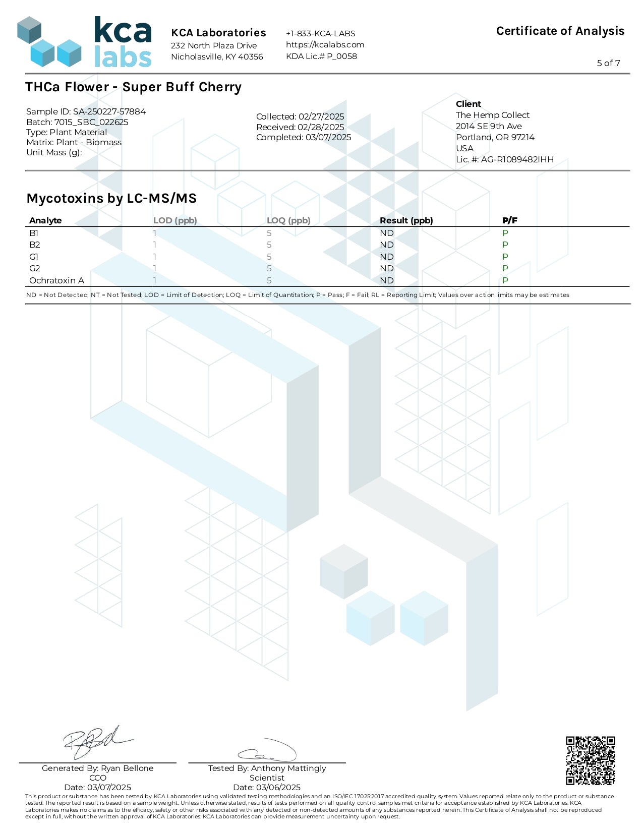 Modern Herb Co THCA Flower