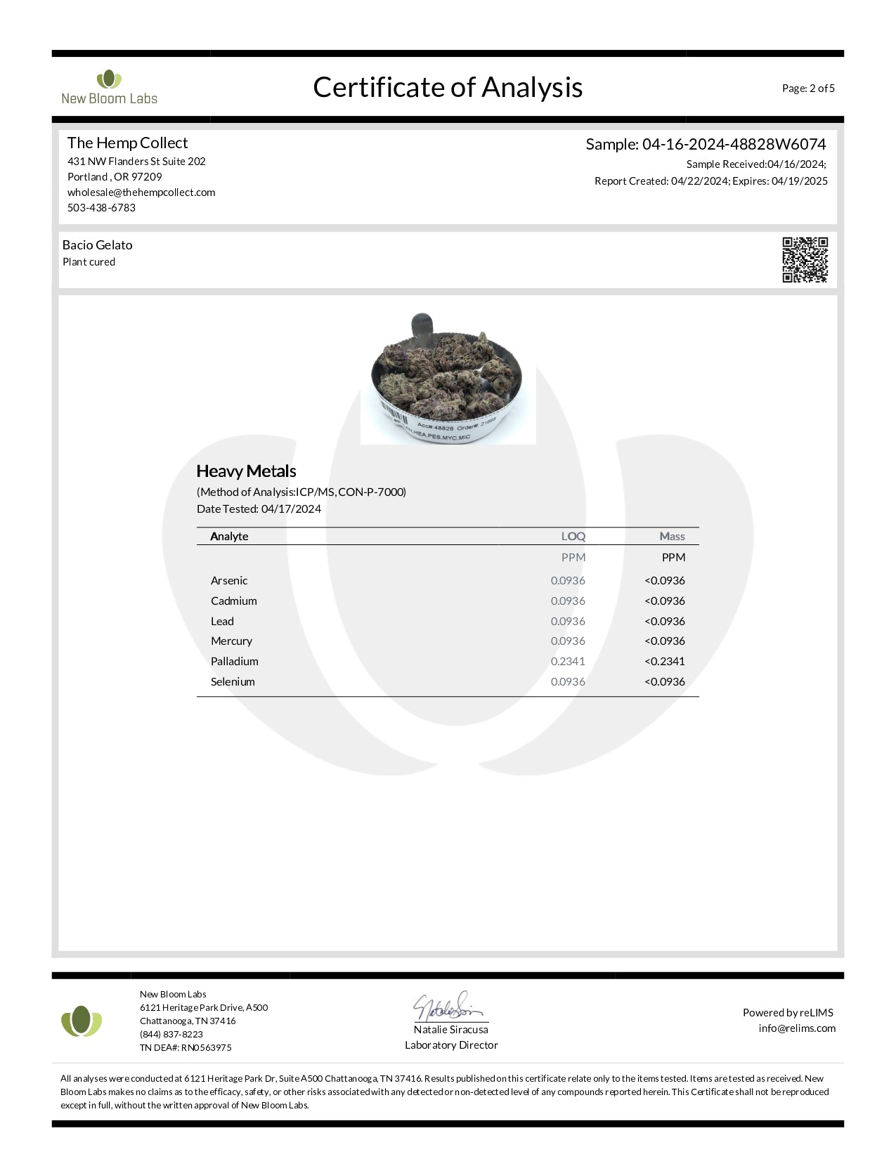 Modern Herb Co THCA Flower