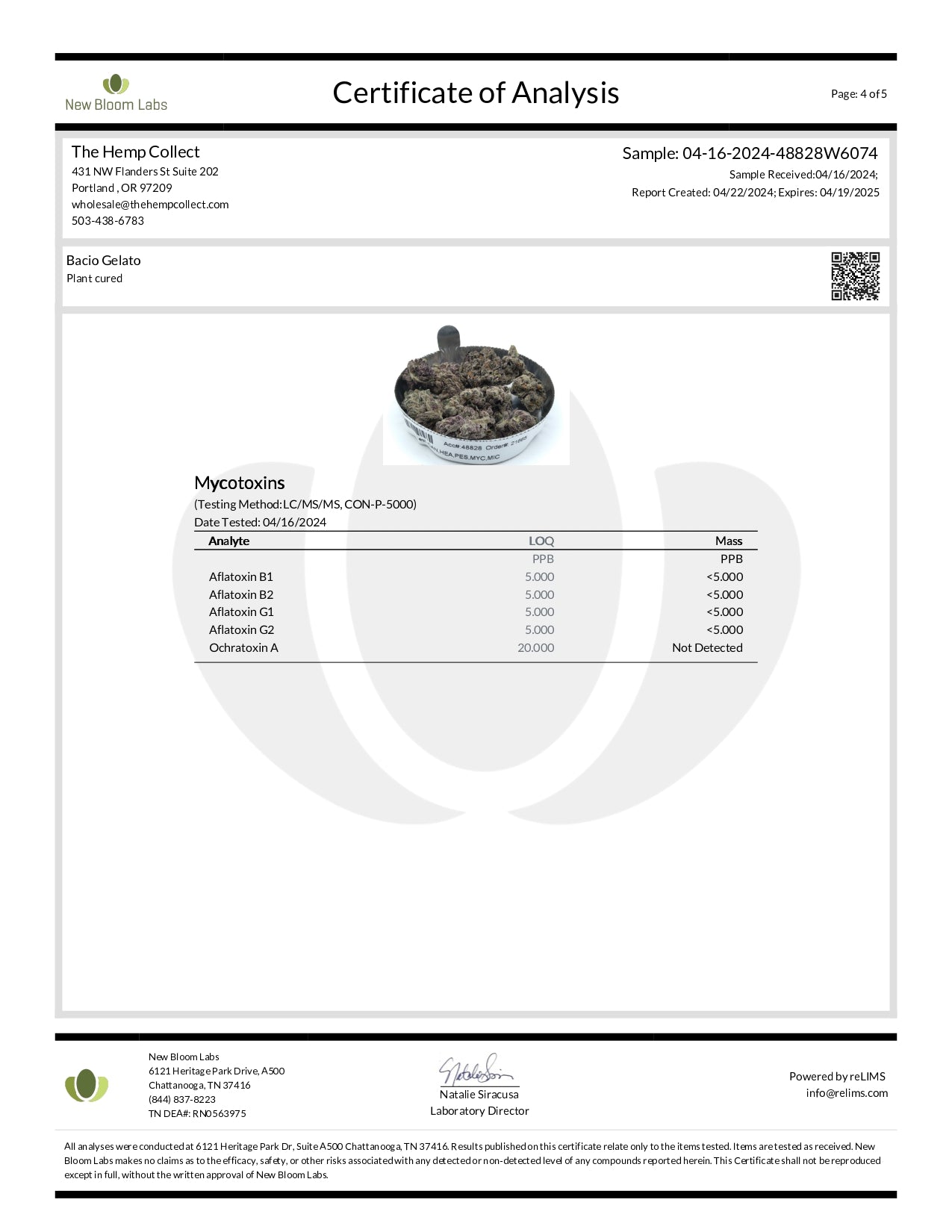 Modern Herb Co THCA Flower
