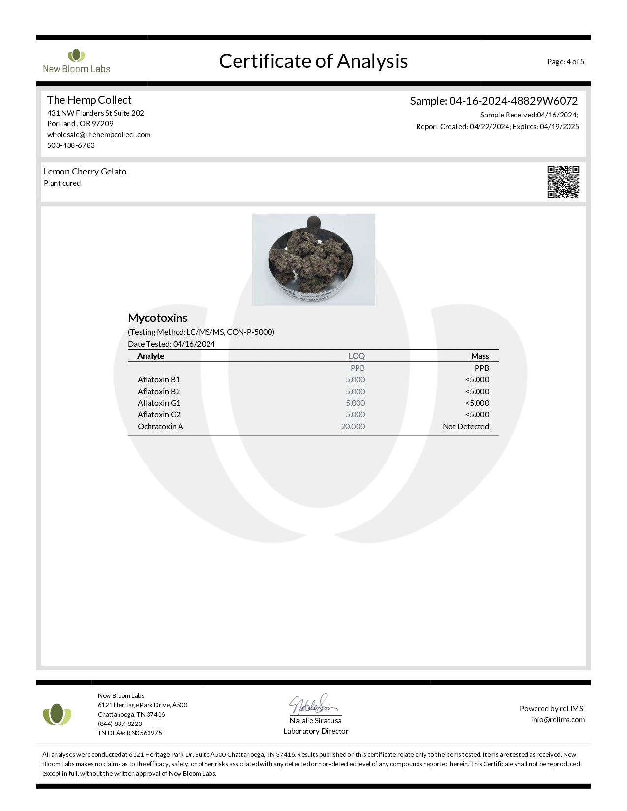 Modern Herb Co THCA Flower