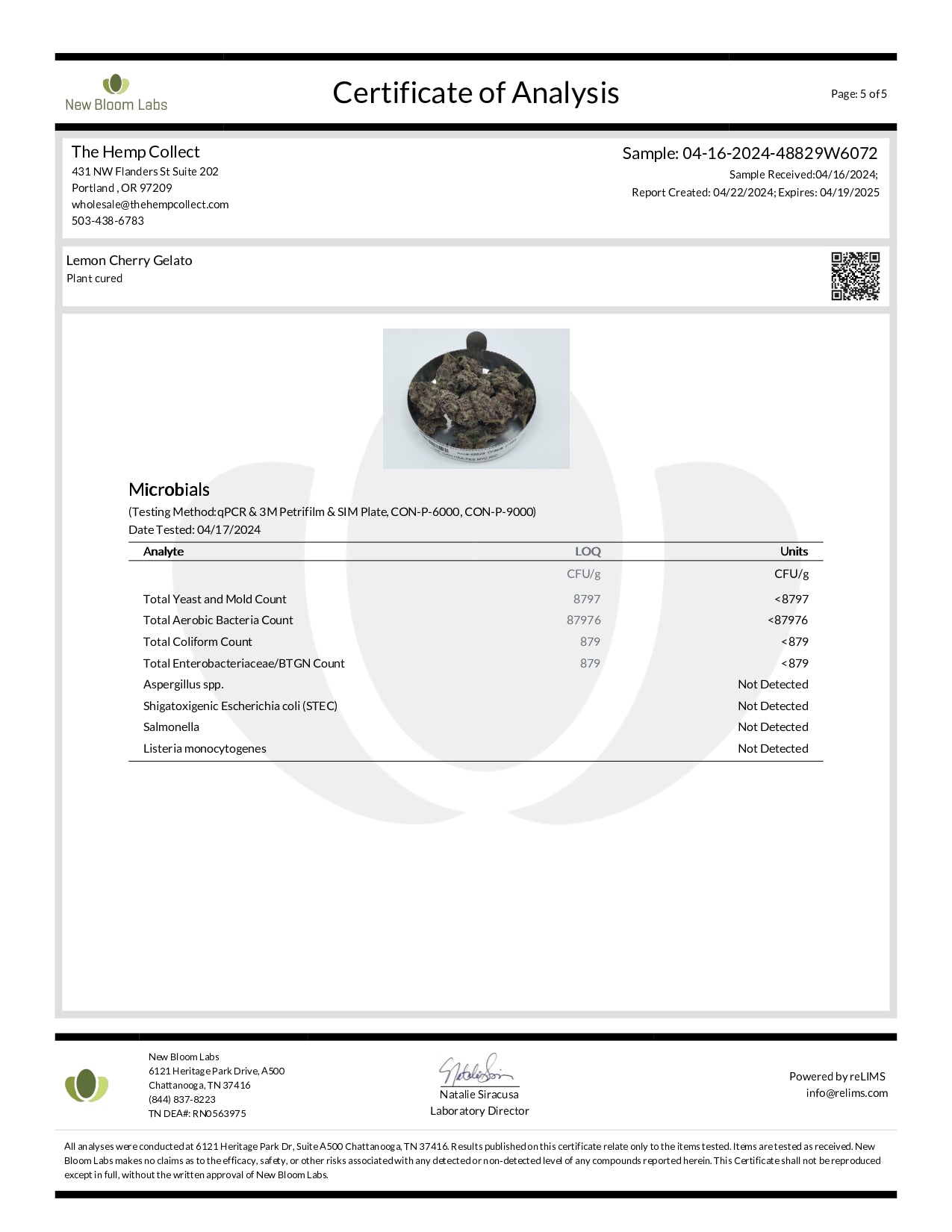 Modern Herb Co THCA Flower