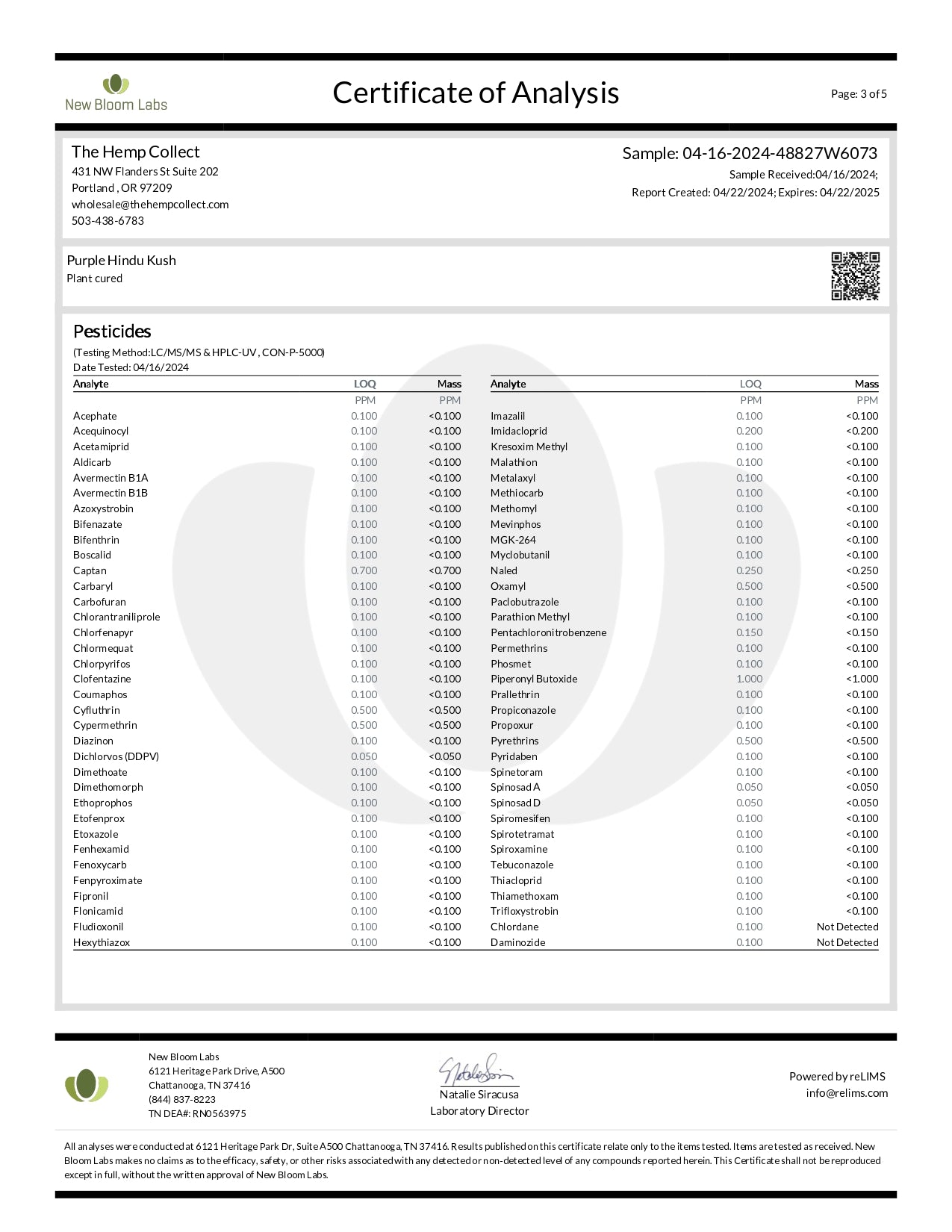 Modern Herb Co THCA Flower