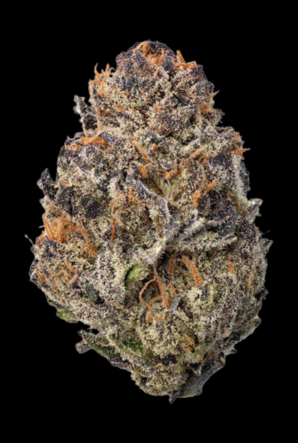 WNC CBD High THCA Indoor Living Soil Flower | 3.5g