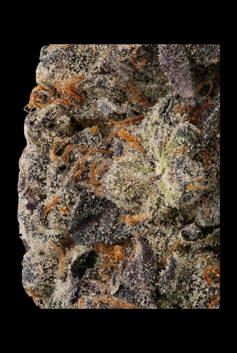 WNC CBD High THCA Indoor Living Soil Flower | 3.5g