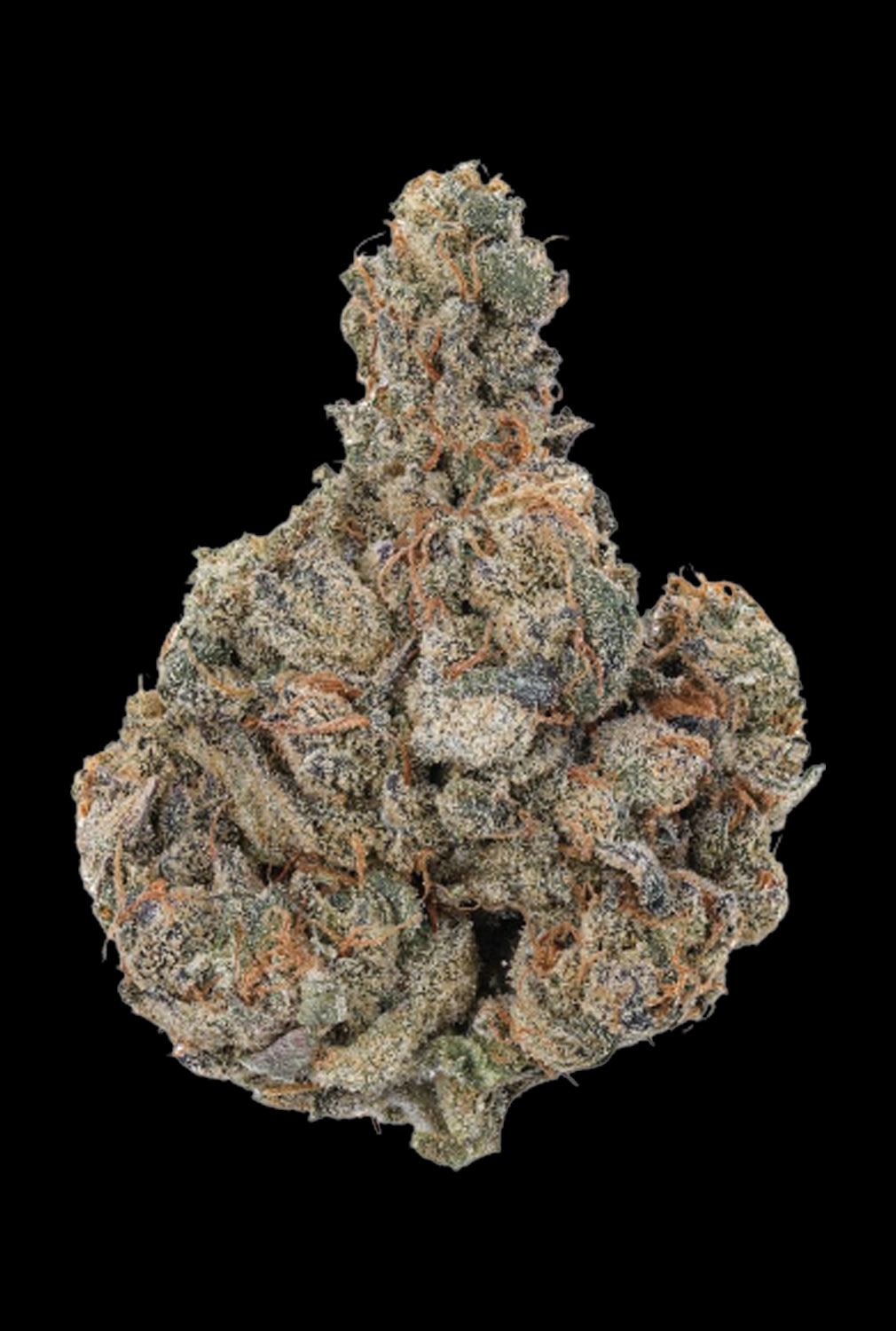 WNC CBD High THCA Indoor Living Soil Flower | 3.5g