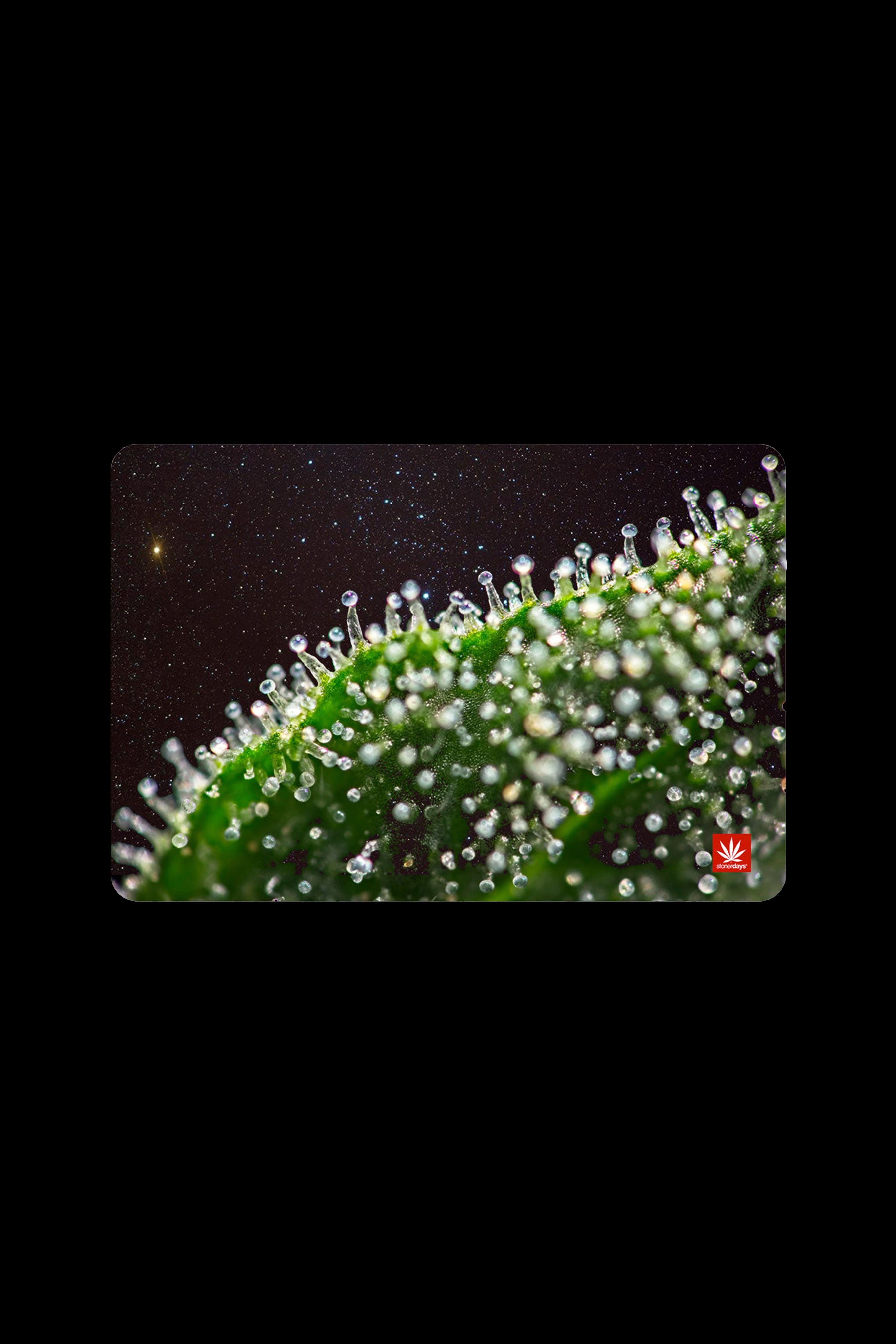 Close-up of a cannabis leaf covered in water droplets against a starry night sky, promoting cannabis accessories.