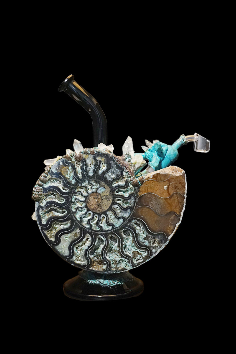 Hand-blown glass rig shaped like an ammonite fossil, featuring turquoise accents and a quartz bucket.