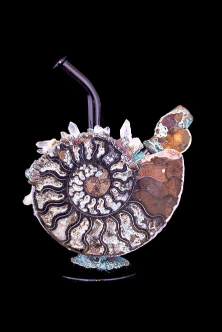 Intricate glass sculpture of an ammonite fossil, repurposed as a cannabis water pipe with a dark stem and crystal-like embellishments.