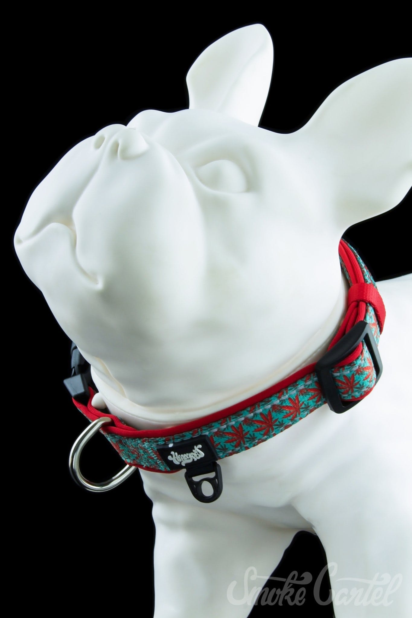 Large / Caribbean - HeadyPet Collar V2 - HeadyPet -