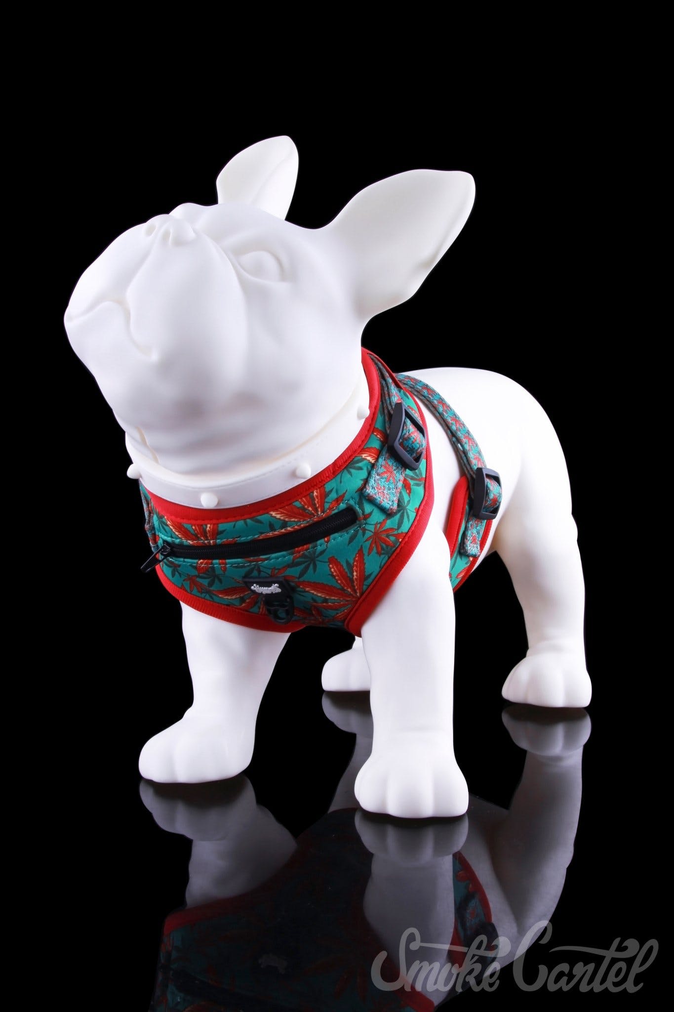 Medium Caribbean Leaf Variant