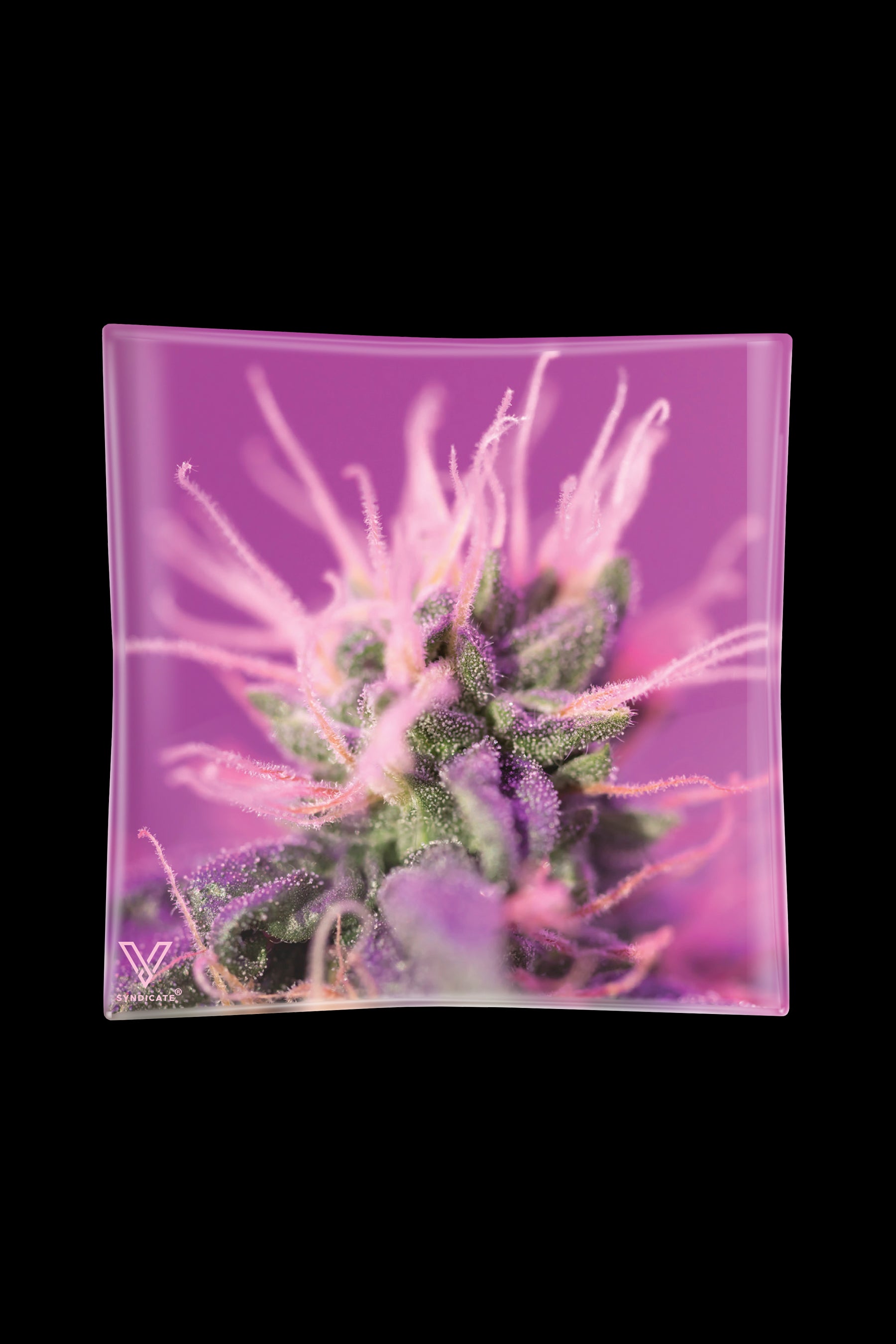 Purple cannabis bud printed on a square glass ashtray.