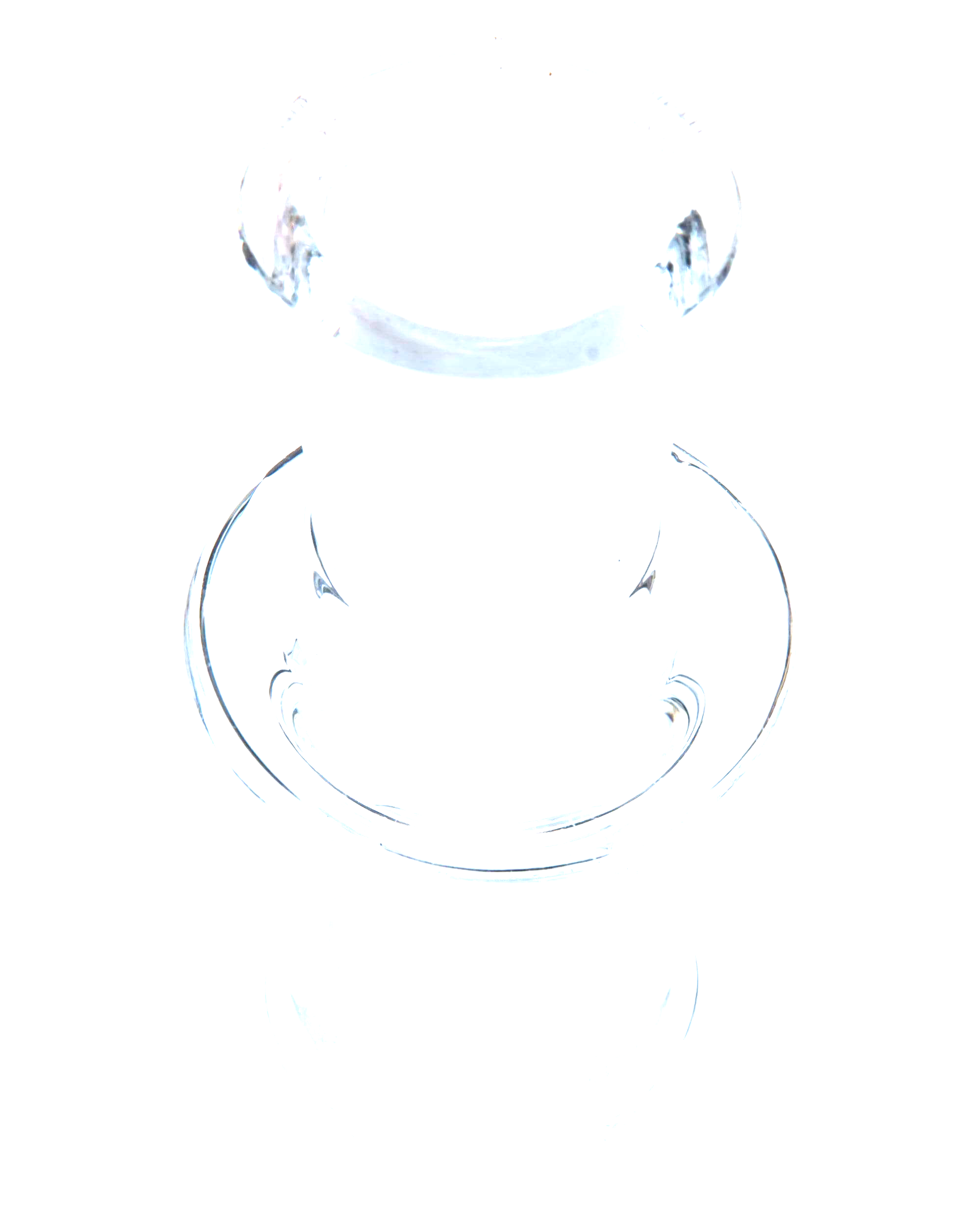 Top-down close-up of a clear Female to Female Adapter showing its circular openings and glossy finish against a black background