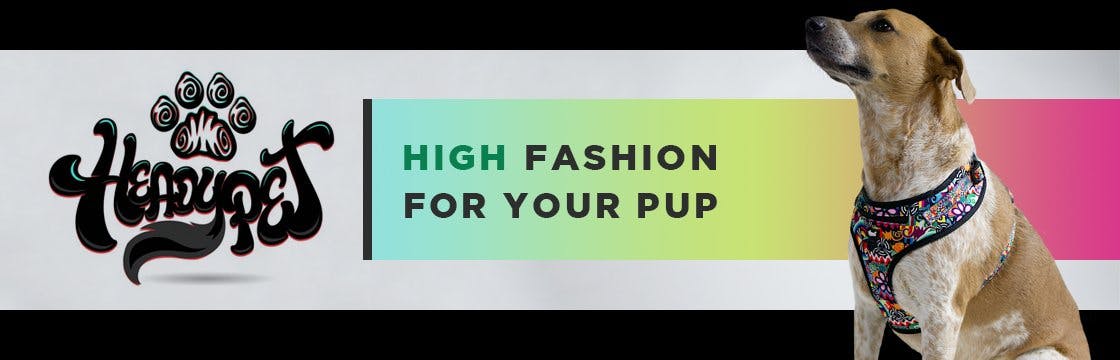 A medium shot features a dog wearing the HeadyPet Cat Collar as part of a promotional product display.