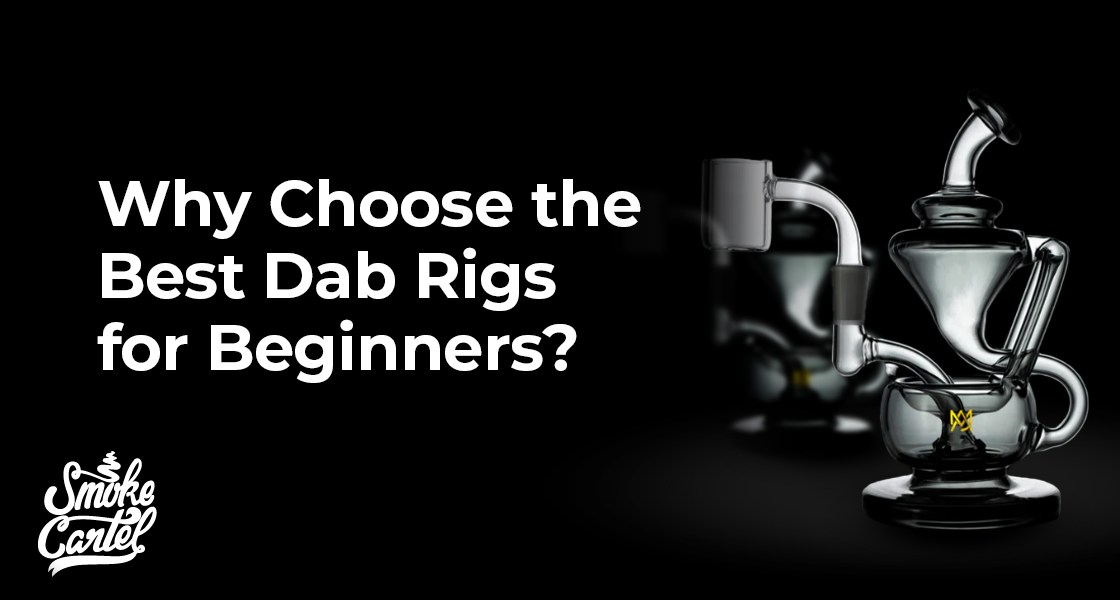 Why Choose the Best Dab Rigs for Beginners?