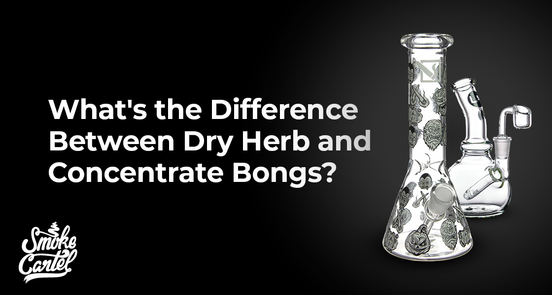 What's the Difference Between Dry Herb and Concentrate Bongs?