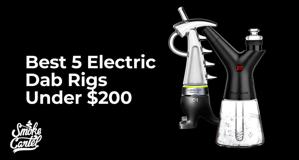 Best 5 Electric Dab Rigs Under $200