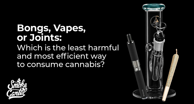 Complete Guide on Choosing Your First Water Pipe