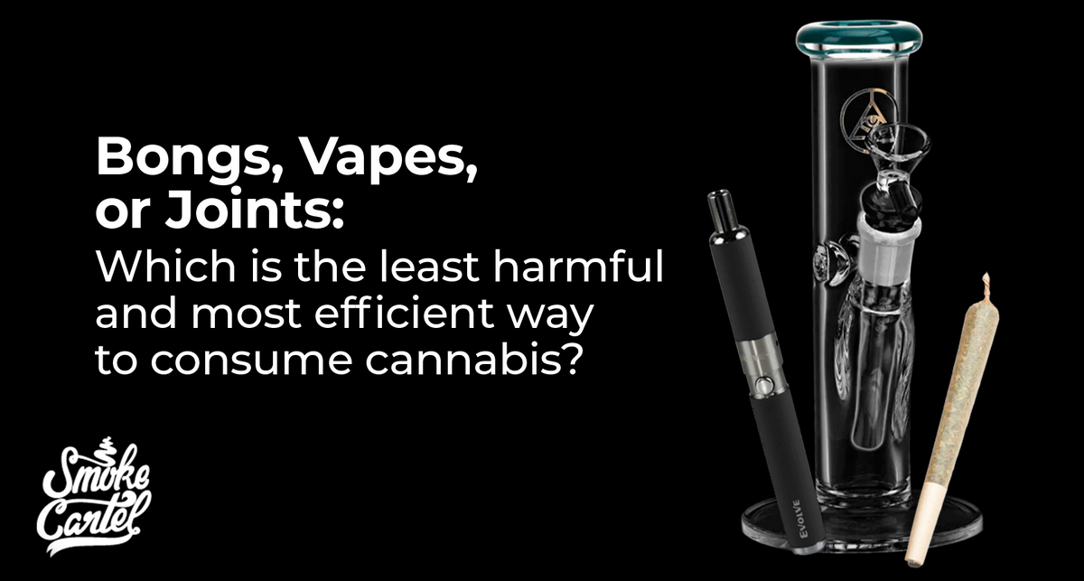 Bongs vs. Vapes vs. Joints: Healthiest Cannabis? Bongs vs. Vapes vs. Joints: Healthiest Cannabis?