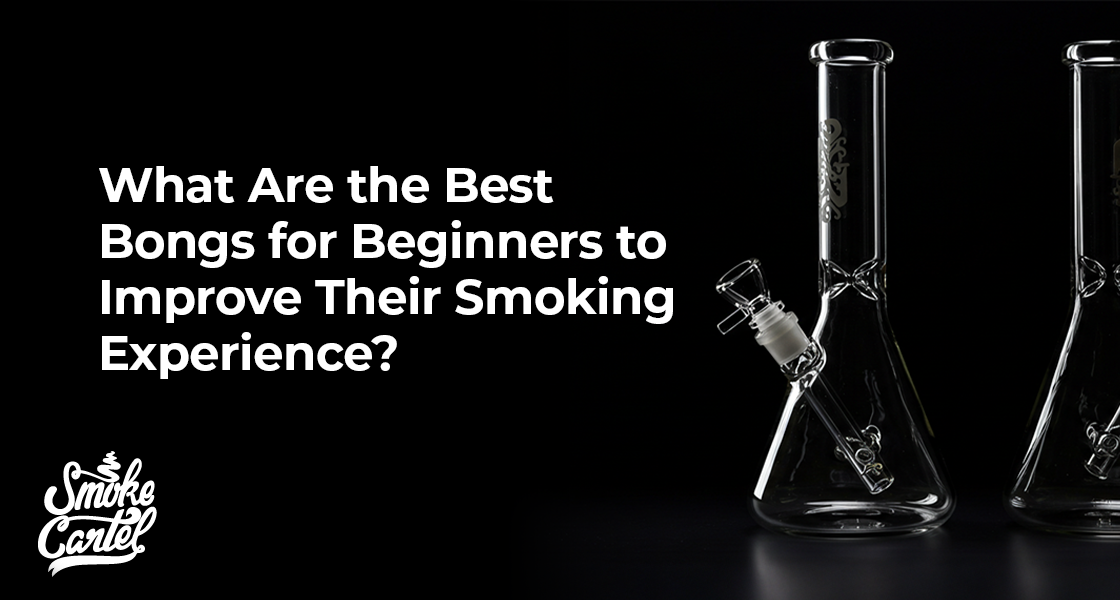 What Are the Best Bongs for Beginners to Improve Their Smoking Experience?