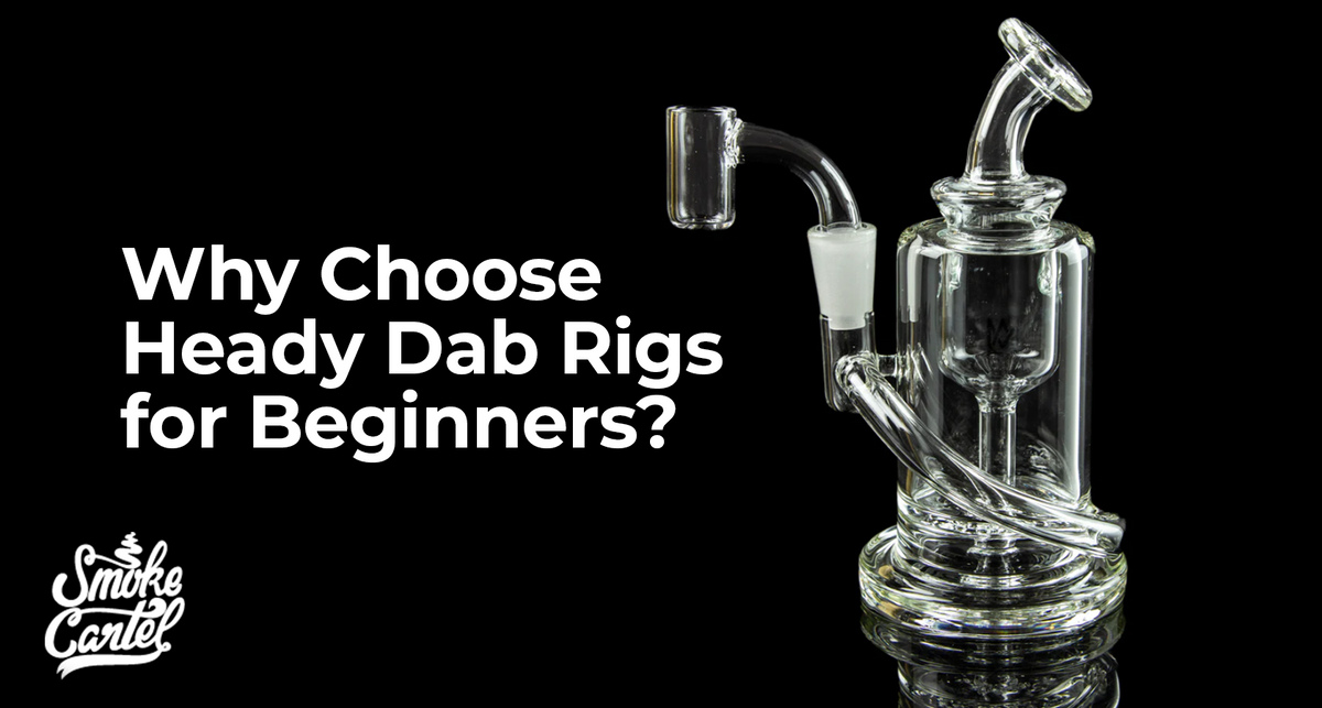 Why Choose Heady Dab Rigs for Beginners?