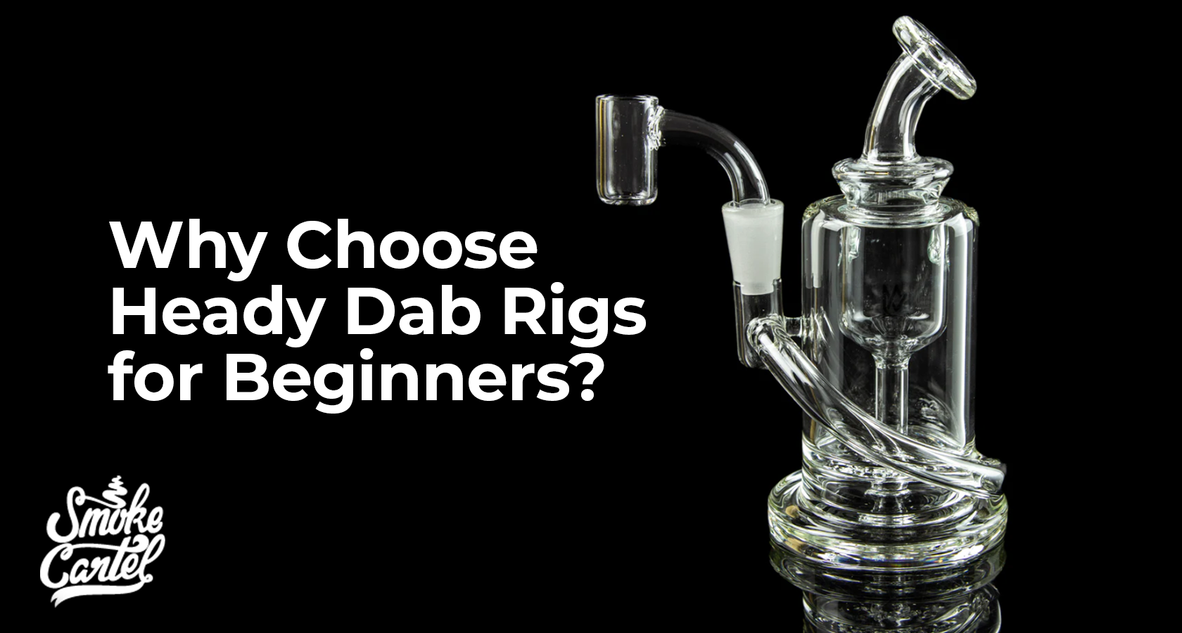 Why Choose Heady Dab Rigs for Beginners?