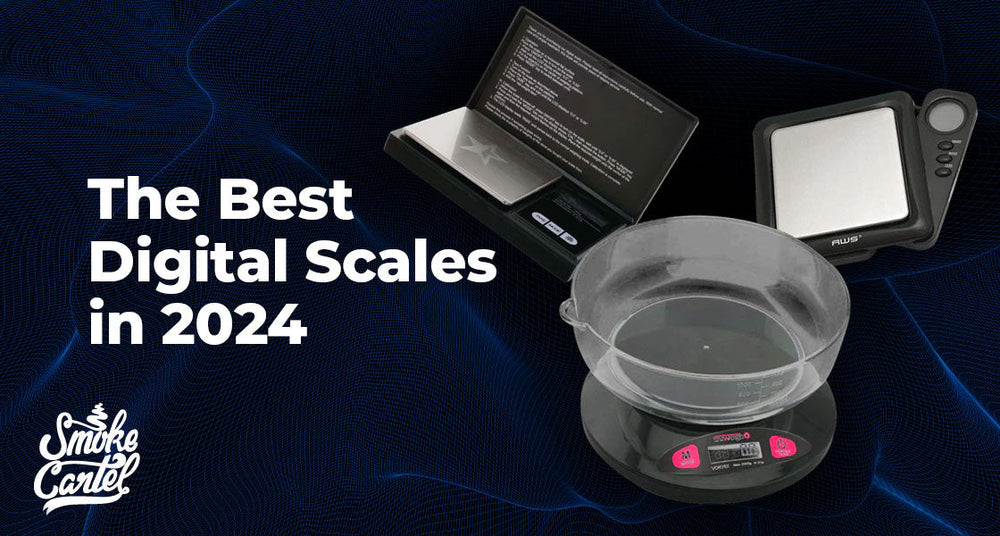 The Best Digital Scales in 2024