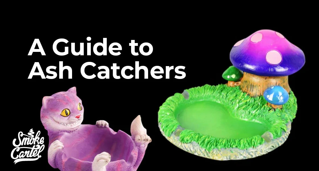 Guide to Ash Catchers