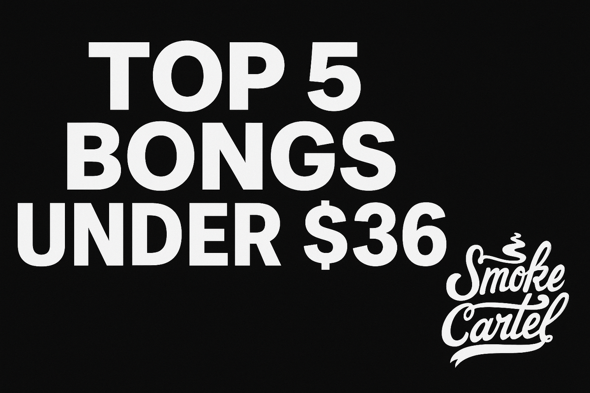 The 5 Best Bongs & Water Pipes Under $36