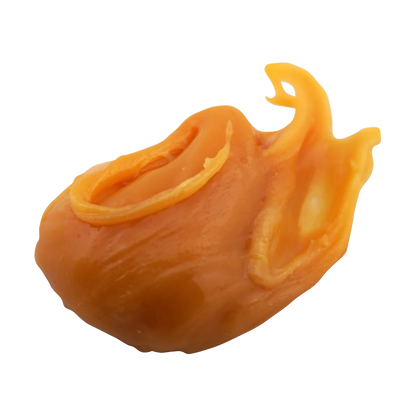 Cheddr SourJack - Badder - 2g