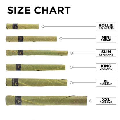 Cannabis pre-roll size chart displaying six sizes – Rollie (0.5g), Mini (1g), Slim (1.5g), King (2g), XL (3g), and XXL (5g) – with corresponding rolled joint illustrations.