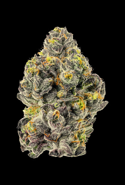 Papa's Herb BLUEBERRY ZLUSHIE INDOOR THCa FLOWER