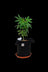 A Pot For Pot Air Pruning Fabric Pot - A Pot For Pot Air Pruning Fabric Pot