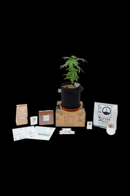 A Pot For Pot Grow Kit & 1 Expansion Edition