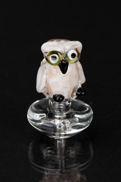 Hand-blown glass owl dab cap for cannabis concentrates, displayed on a reflective surface.