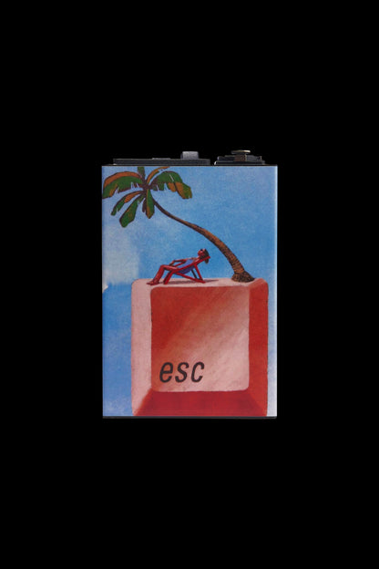 A vintage-style lighter case with a tropical scene depicting a palm tree and a red box labeled “esc.”