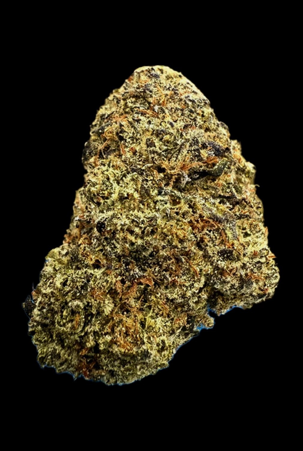Stoner Gumbo THCA Flower - Stoner Exotic