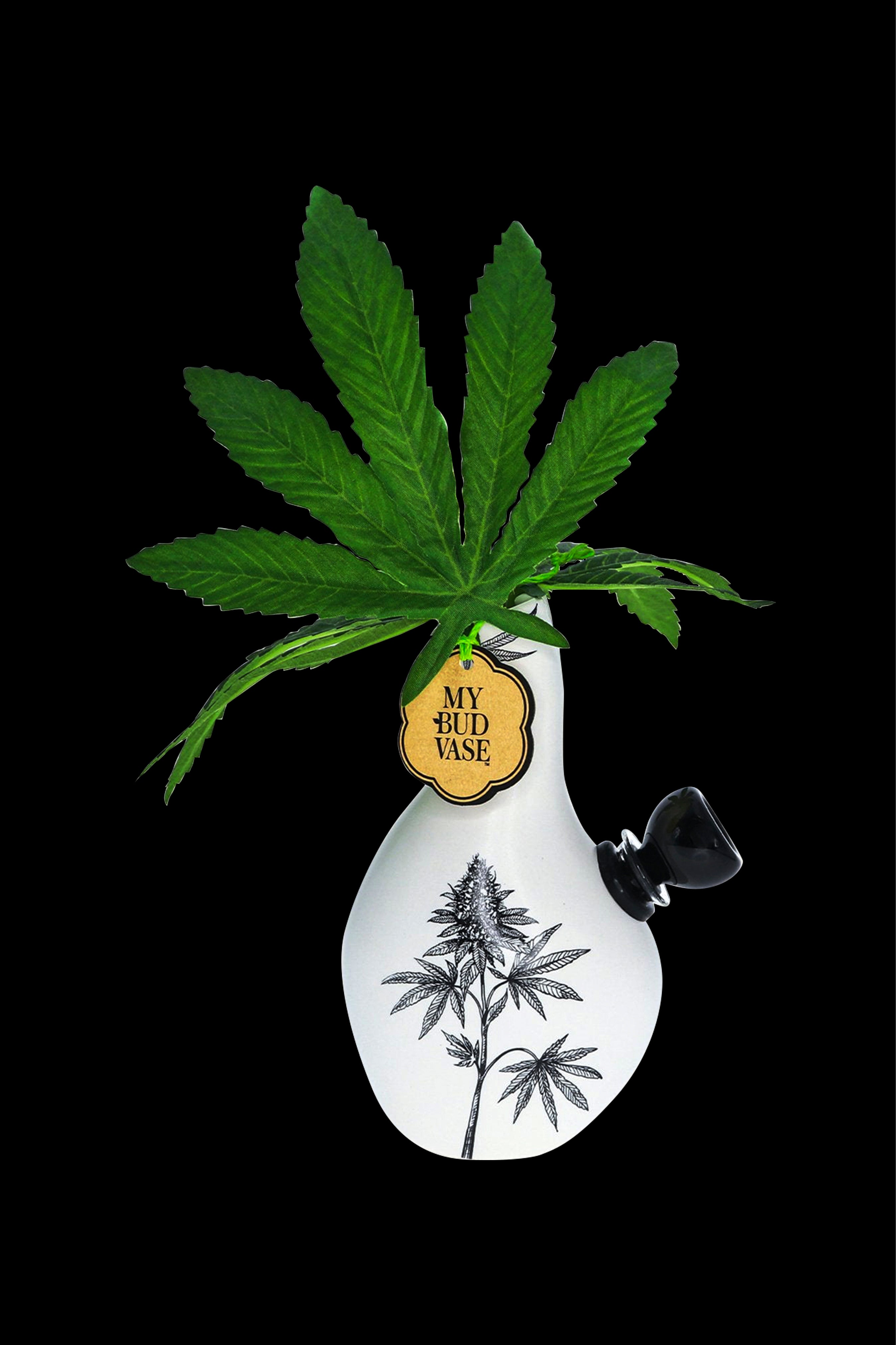A ceramic vase decorated with cannabis leaves and labeled "My Bud Vase" displays a fresh cannabis bud growing from its opening, set against a black background.