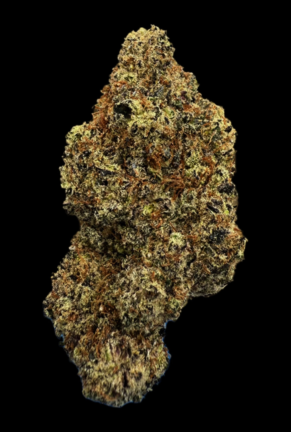 Stoner Lizard Burger THCA Flower - Stoner Exotic