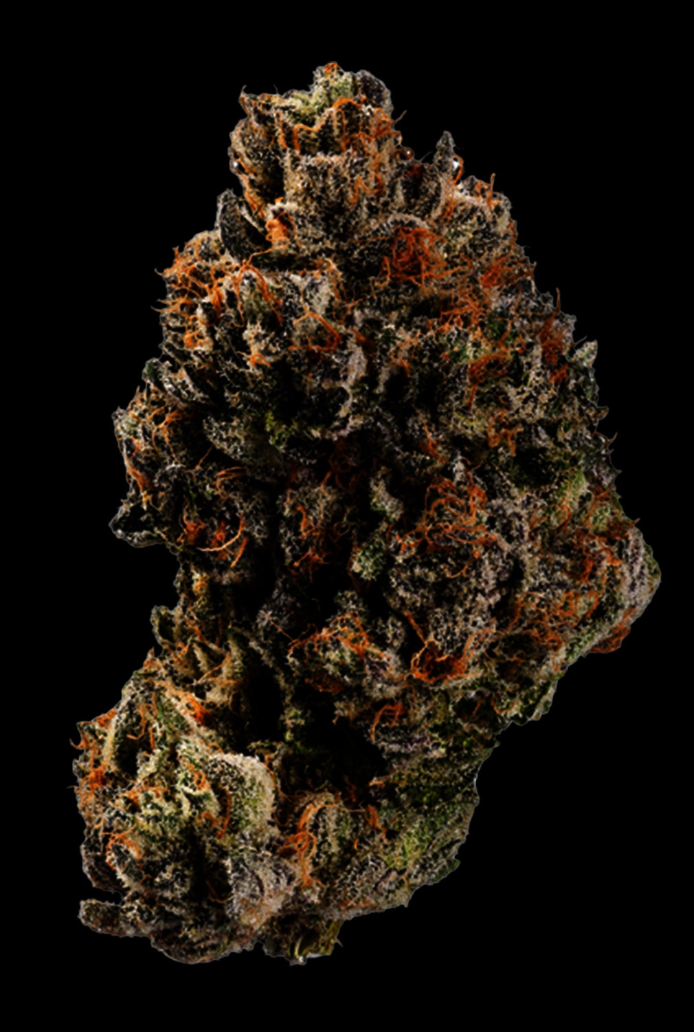 Papa's Herb INFUSED 1G PINEAPPLE EXPRESS SATIVA