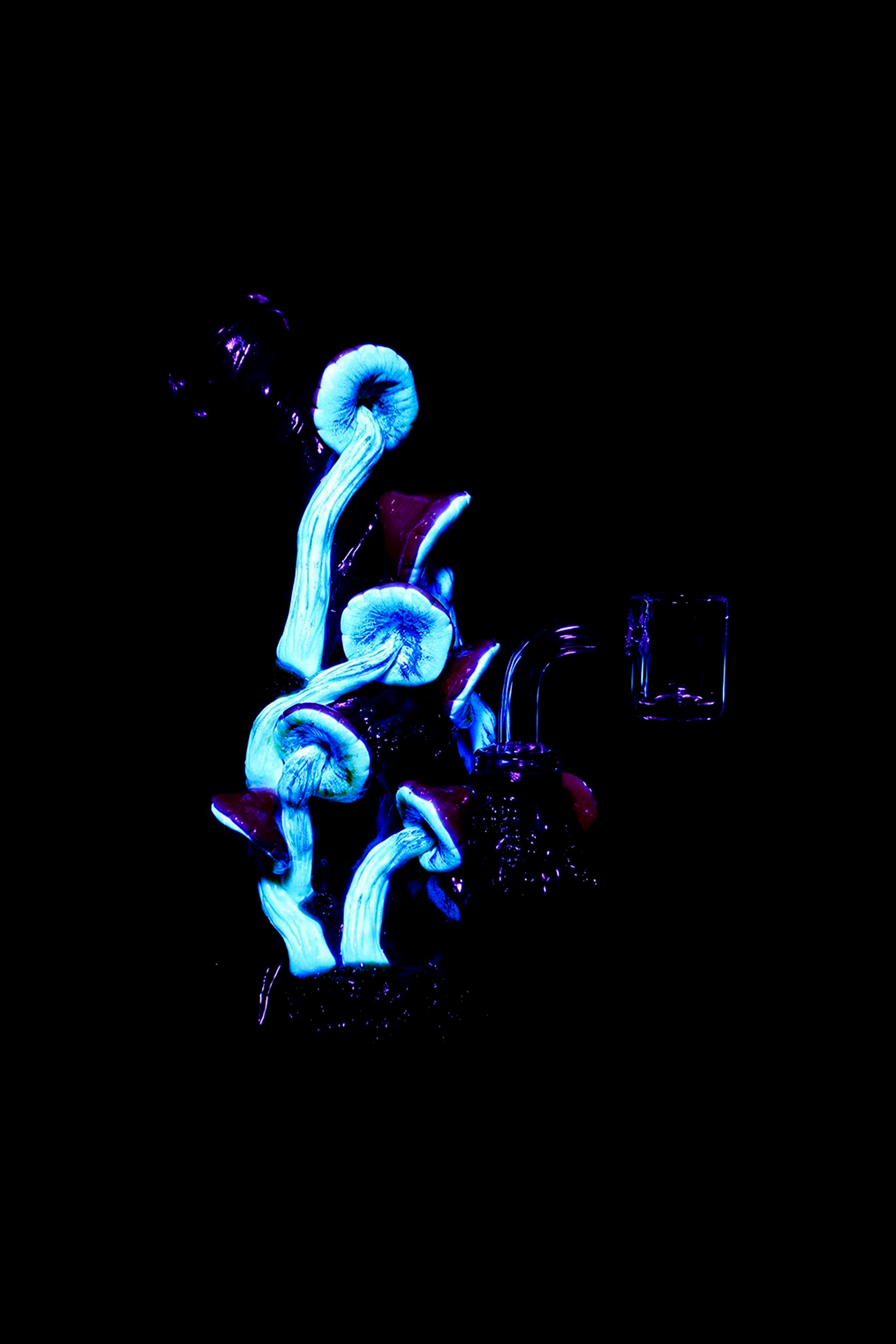 Glowing blue psilocybin mushrooms beside a cannabis pipe and grinder on a black background.