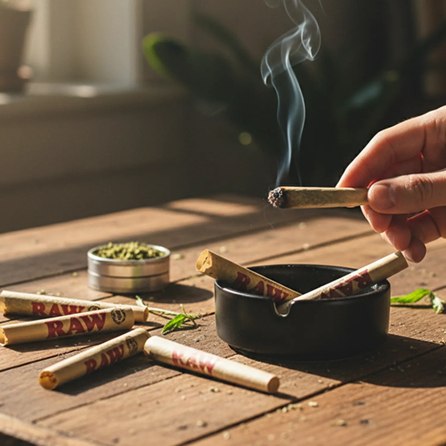 Hand holding a lit RAW Organic Hemp Prerolled Kingsize Cones - 32 Pack 5.00% Off Auto renew cone over a black ashtray, with several RAW cones and a small herb grinder on a sunlit wooden table.